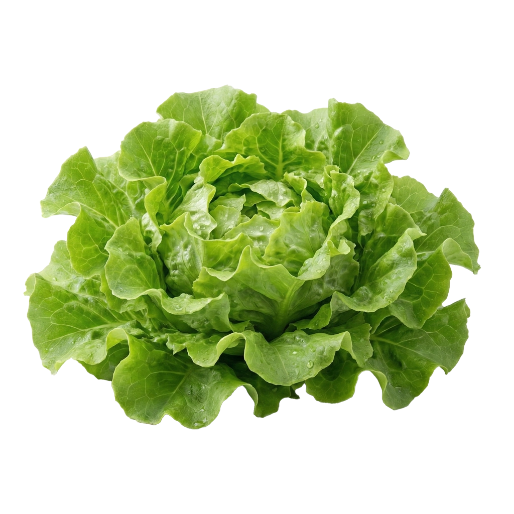 Salat